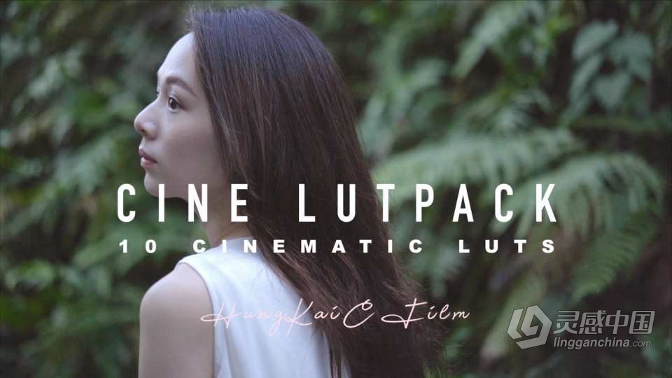 摄影师 HungKai Chen 10组 索尼灰片调色预设 SONY A7III CINE4 电影视频调色Lut预设  灵感中国网 www.lingganchina.com