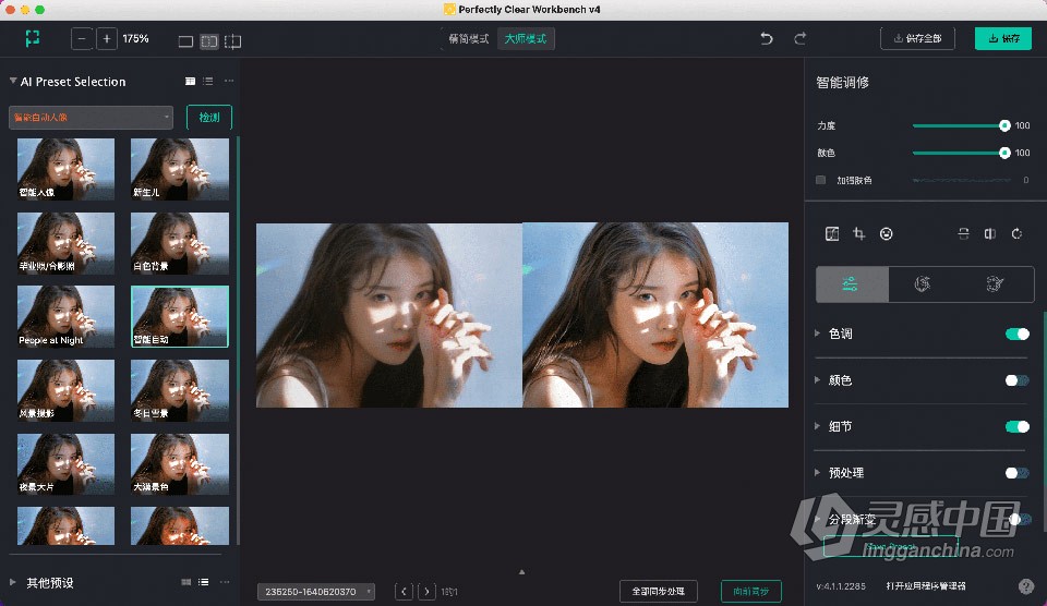 智能图像清晰照片校正编辑软件 Perfectly Clear WorkBench 4.2.0.2331 Mac版本下载  灵感中国社区 www.lingganchina.com