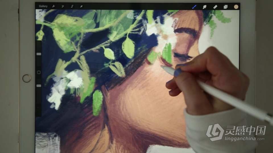IPad Pro和Procreate数字绘画技巧视频课程  灵感中国网 www.lingganchina.com