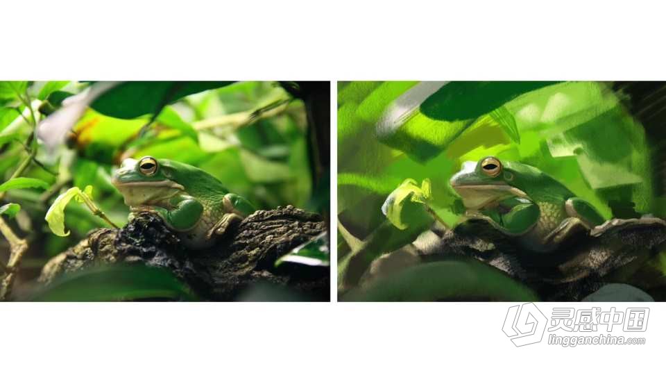 IPad Pro和Procreate数字绘画技巧视频课程  灵感中国网 www.lingganchina.com