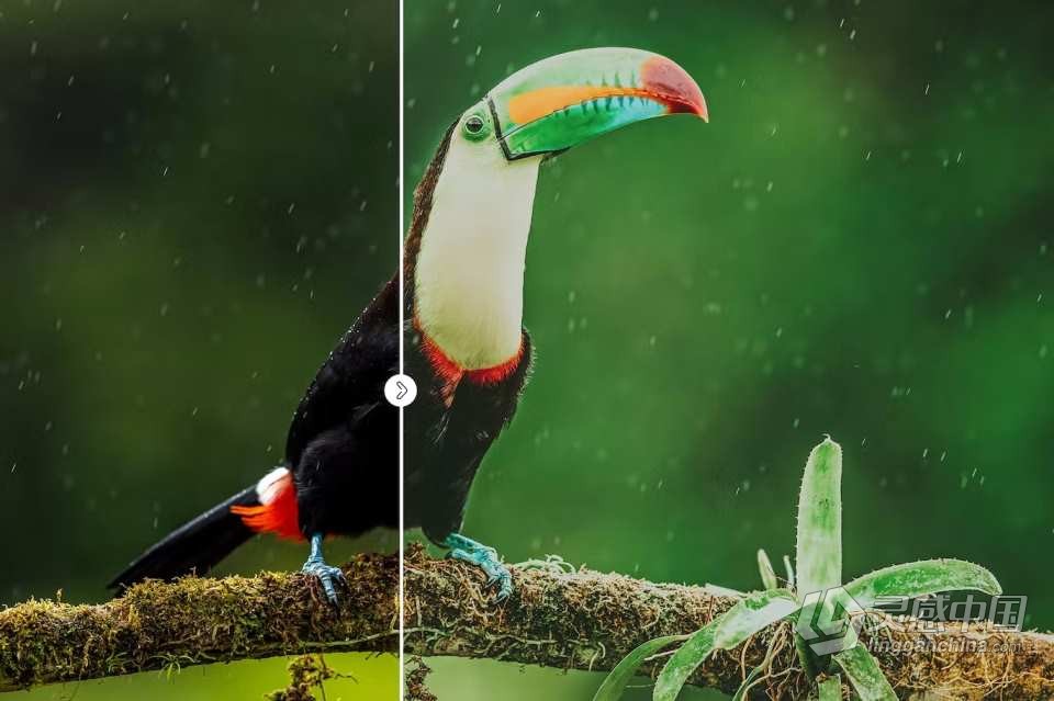 70种INS海滩阳光旅拍摄影照片氛围调色预设PS扩展插件 Pluto – 69+ Photoshop Presets Pack  灵感中国网 www.lingganchina.com