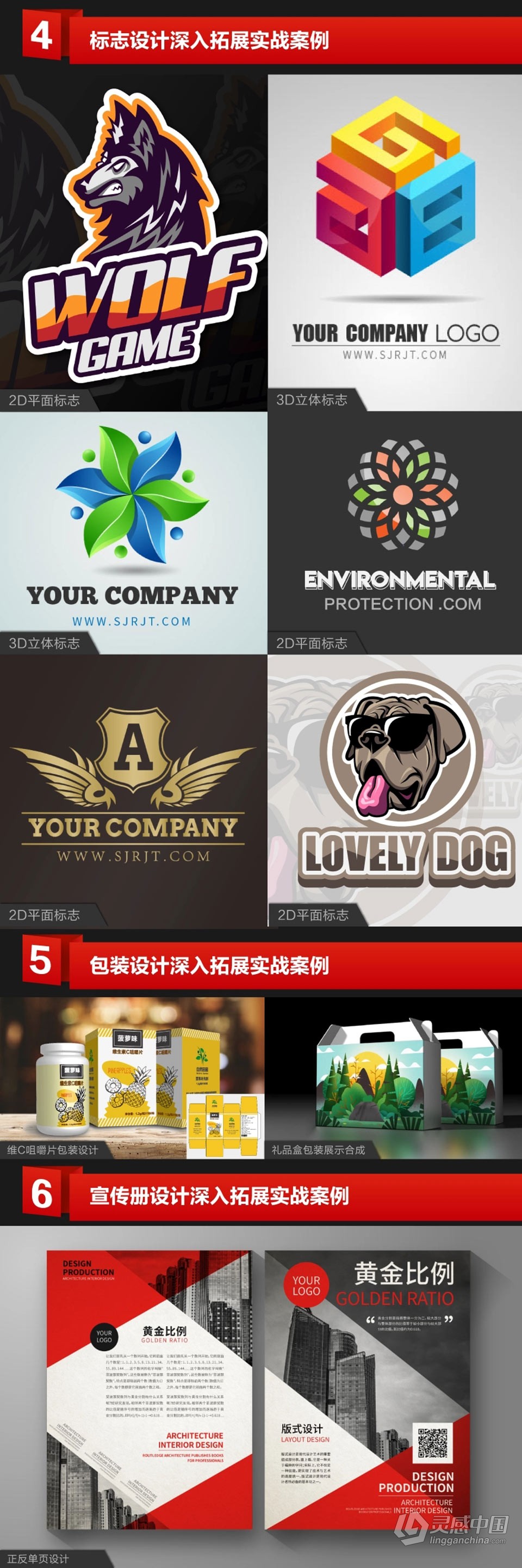 超级AI精品课程全面学习中文视频教程  灵感中国网 www.lingganchina.com
