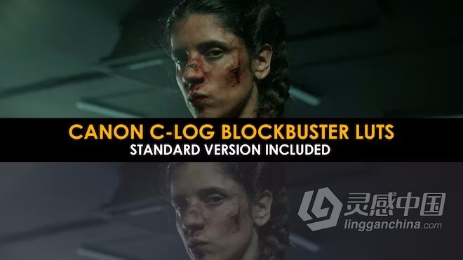佳能C-Log拍摄大片电影调色颜色分级20个LUTs预设  灵感中国网 www.lingganchina.com