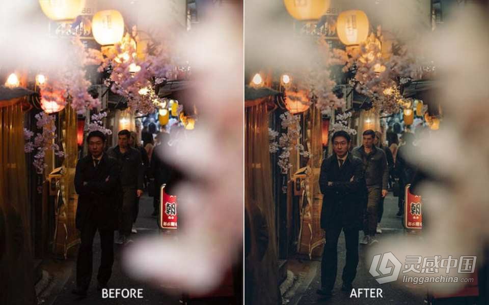 Yantastic-风光摄影大师系列LR预设 Master Collection Lightroom Presets  灵感中国网 www.lingganchina.com