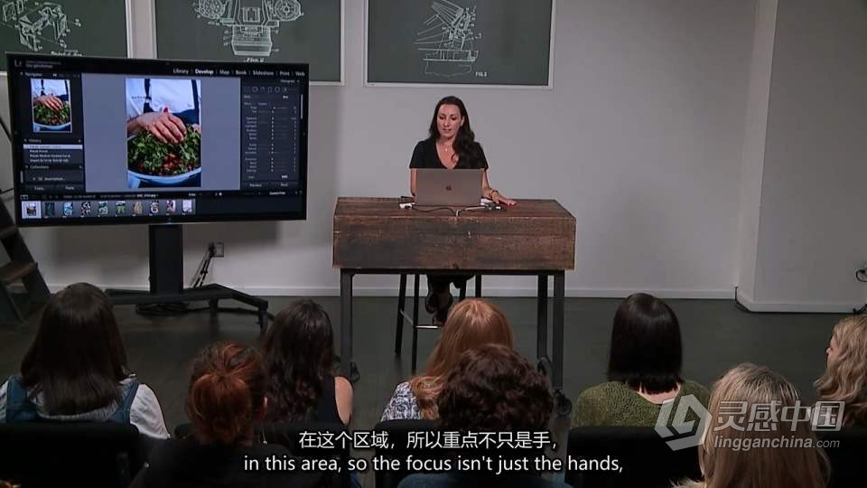 Liza Gershman 的创意美食摄影布光构图产品造型教程 中英字幕  灵感中国网 www.lingganchina.com
