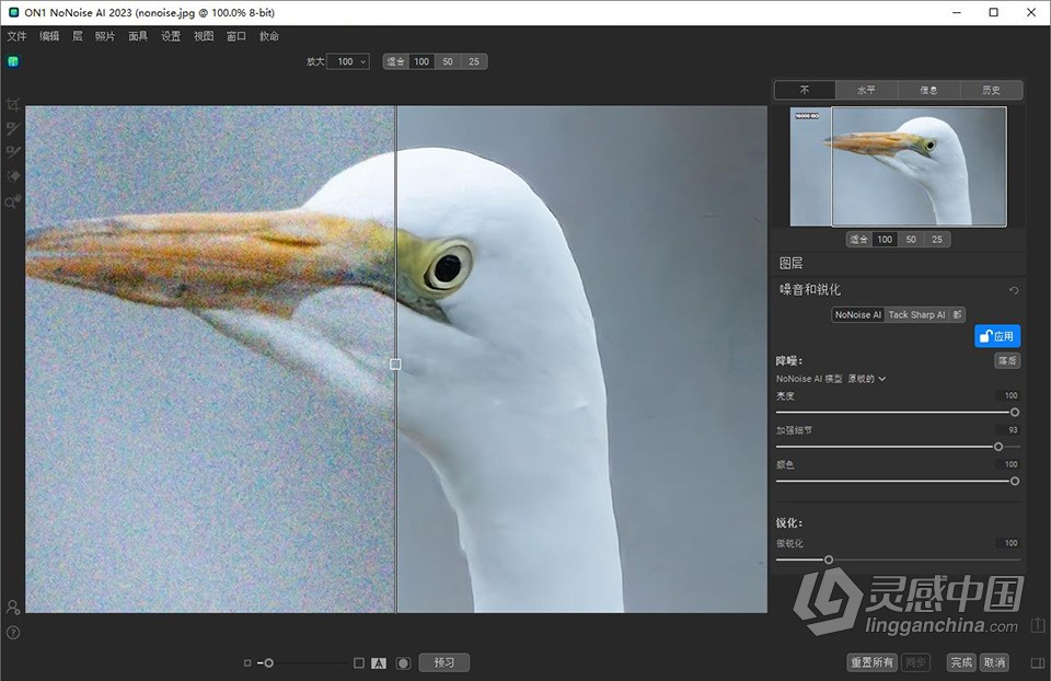 AI智能降噪软件 ON1 NoNoise AI 2023.5 v17.5.1.14028 中文版 Win版本下载  灵感中国网 www.lingganchina.com