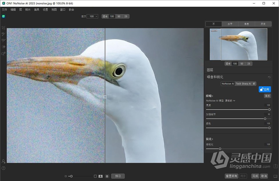 AI智能降噪软件 ON1 NoNoise AI 2023 v17.0.1.12965 中文版 Win版本下载  灵感中国社区 www.lingganchina.com