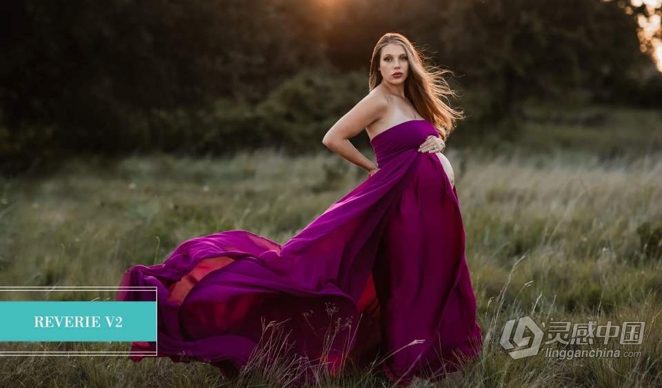 欧美大师级Pretty Presets 千禧限量版LR预设Jubilee Limited Edition Millenniu  灵感中国网 www.lingganchina.com