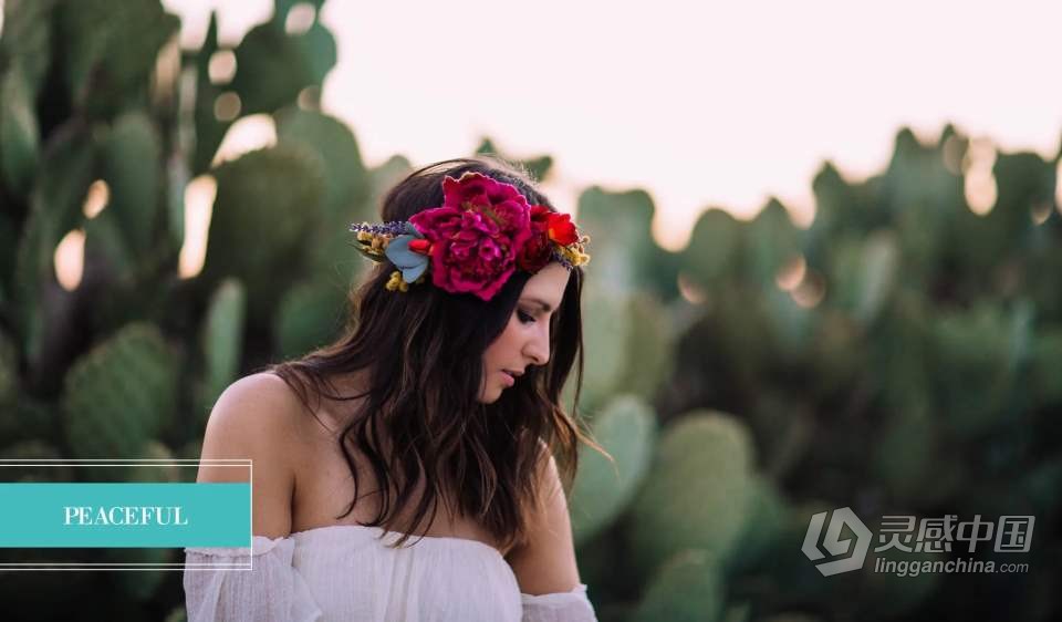 欧美大师级Pretty Presets 千禧限量版LR预设Jubilee Limited Edition Millenniu  灵感中国网 www.lingganchina.com
