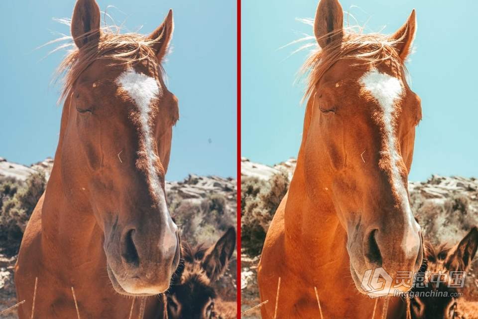 西部牛仔女王胶片人像Lightroom预设 Queen Of The RODEO | Cowgirls Preset  灵感中国网 www.lingganchina.com