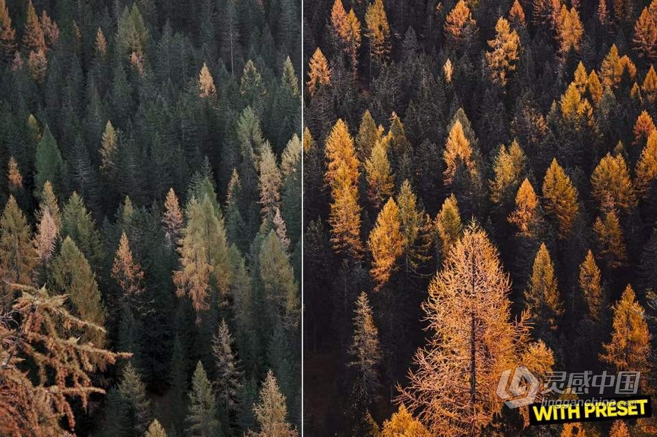 ARTA Presets- 秋季电影风光Lightroom预设 Fall Season Presets  灵感中国网 www.lingganchina.com