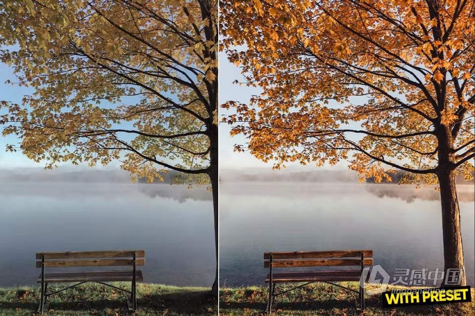 ARTA Presets- 秋季电影风光Lightroom预设 Fall Season Presets  灵感中国网 www.lingganchina.com
