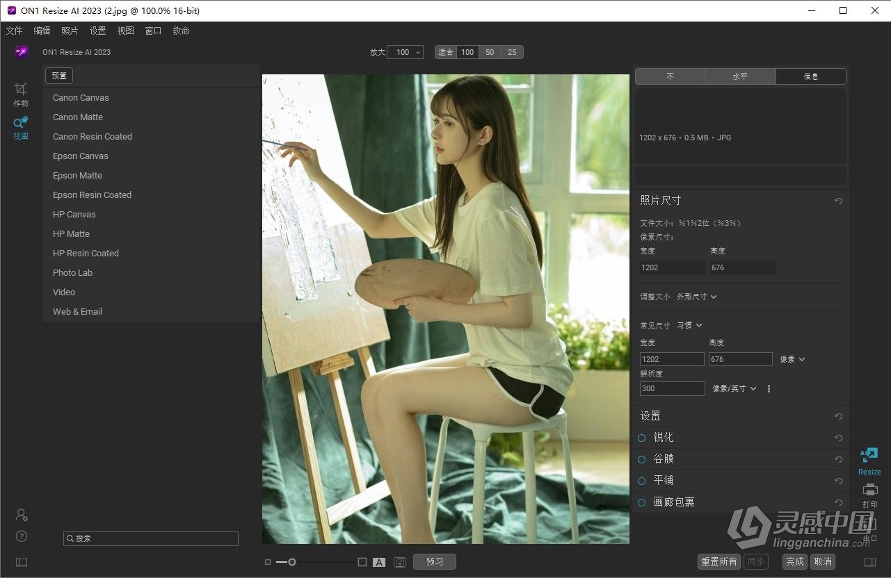 Ai智能图片无损放大打印软件 ON1 Resize AI 2023.5 v17.5.1.14028 中文版 Win版本下载  灵感中国网 www.lingganchina.com