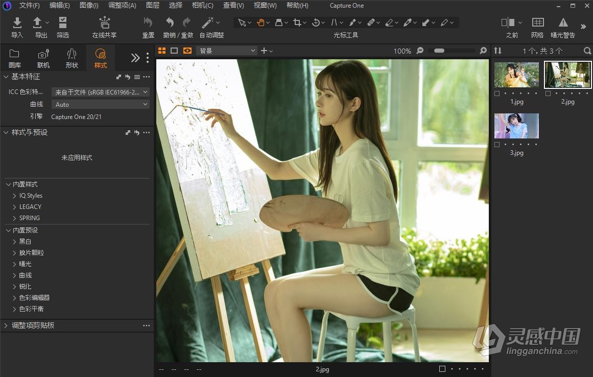 飞思软件RAW图像编辑软件 Capture  One 23 Pro 16.0.1.20 中文版 Win版本下载  灵感中国社区 www.lingganchina.com