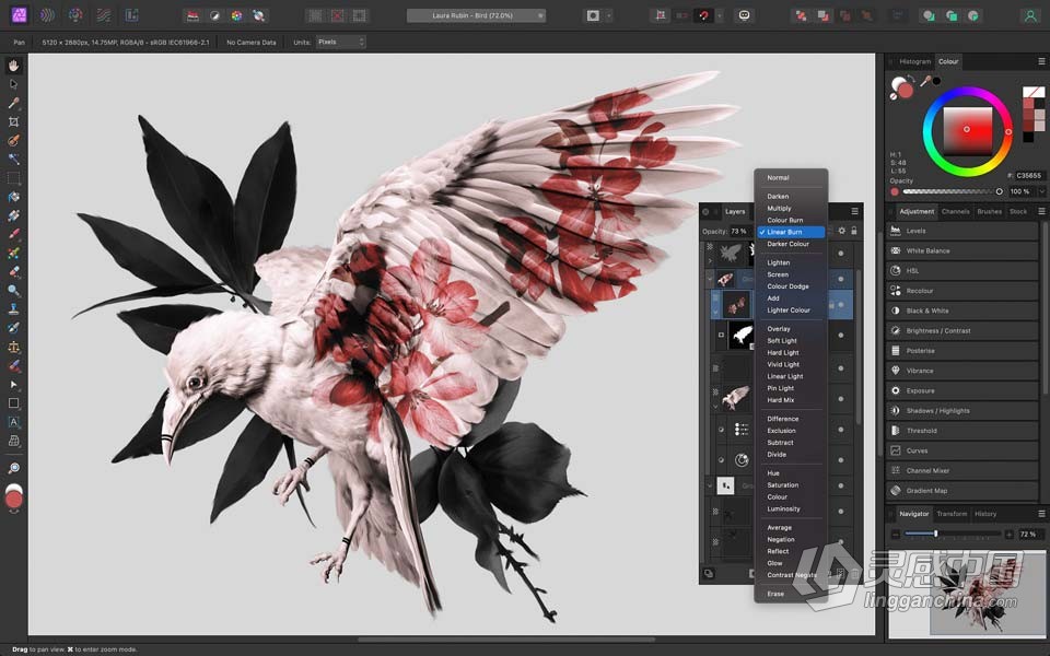 强大的图片编辑软件 Affinity Photo 2.0.3.1688 中文版 WIN版本下载  灵感中国网 www.lingganchina.com