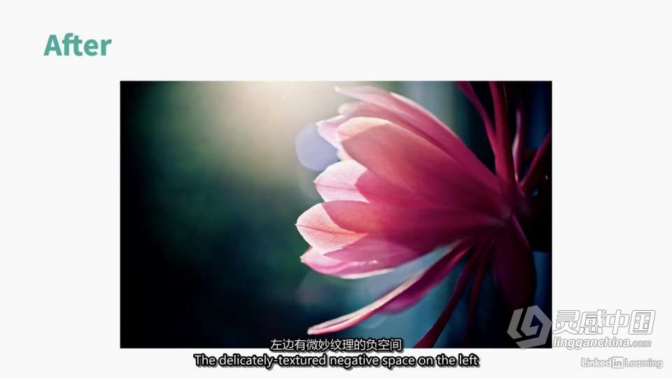 摄影师 Tracey Clark 照片摄影构图合成的艺术教程 中英字幕  灵感中国网 www.lingganchina.com