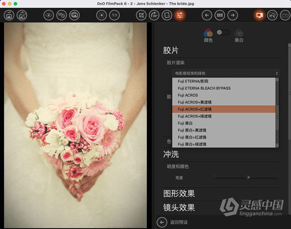 重现胶片的魔力 创意胶片模拟调色软件PS插件 DxO FilmPack 6.9.0.11 Mac中文版 多国语言版本  灵感中国网 www.lingganchina.com