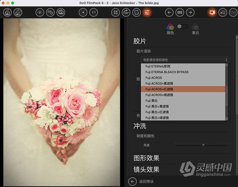 重现胶片的魔力 创意胶片模拟调色软件PS插件 DxO FilmPack 6.9.0.11 Mac中文版 多国语言版本  灵感中国社区 www.lingganchina.com
