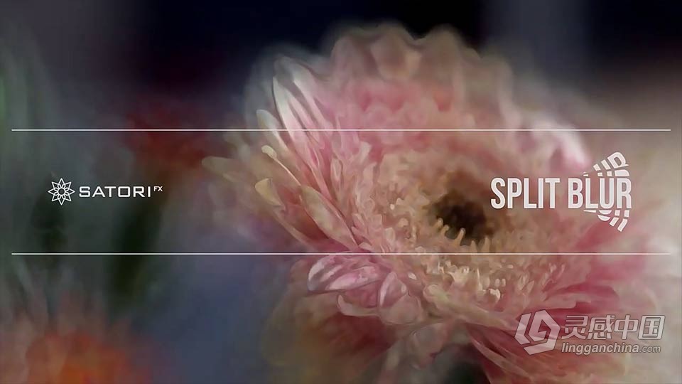 中文汉化AE/PR插件-万花筒分割模糊迷幻视觉特效插件 Split Blur v1.1.1 Win/Mac  灵感中国网 www.lingganchina.com