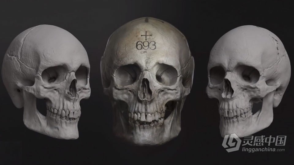 Zbrush人类头骨骷髅雕刻制作流程视频教程  灵感中国网 www.lingganchina.com