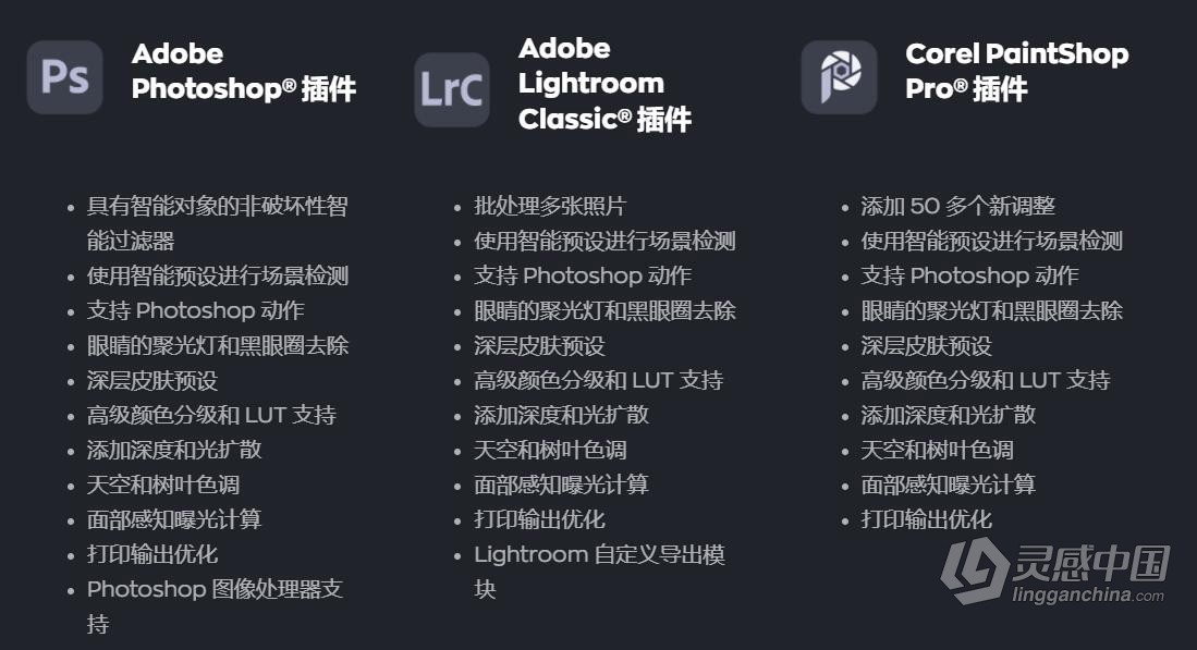AI智能完美照片编辑人像修饰调色修图软件PS/LR插件 Radiant Photo 1.1.2.315 中文版 Win系统下载  灵感中国网 www.lingganchina.com
