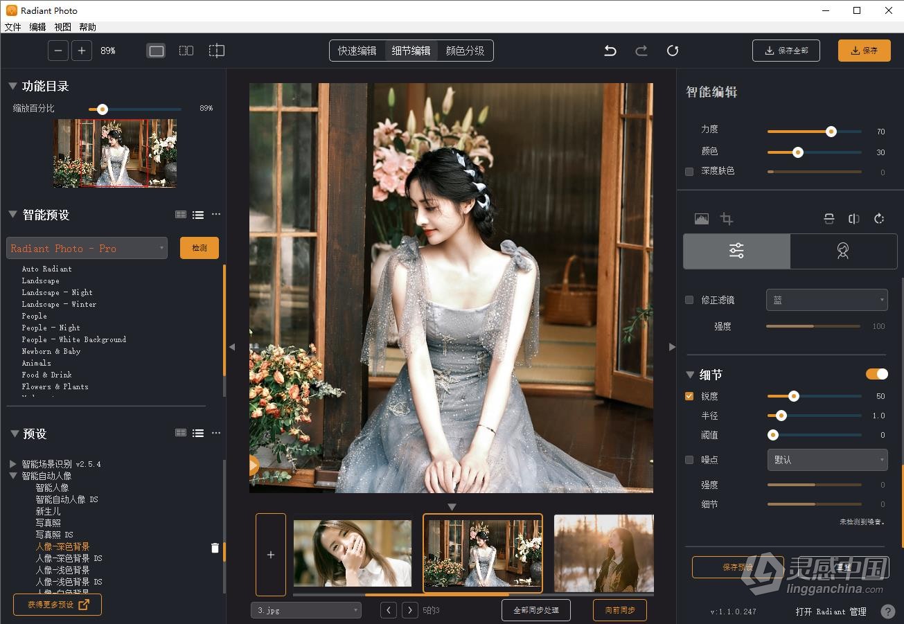 AI智能完美照片编辑人像修饰调色修图软件PS/LR插件 Radiant Photo 1.1.2.315 中文版 Win系统下载  灵感中国网 www.lingganchina.com