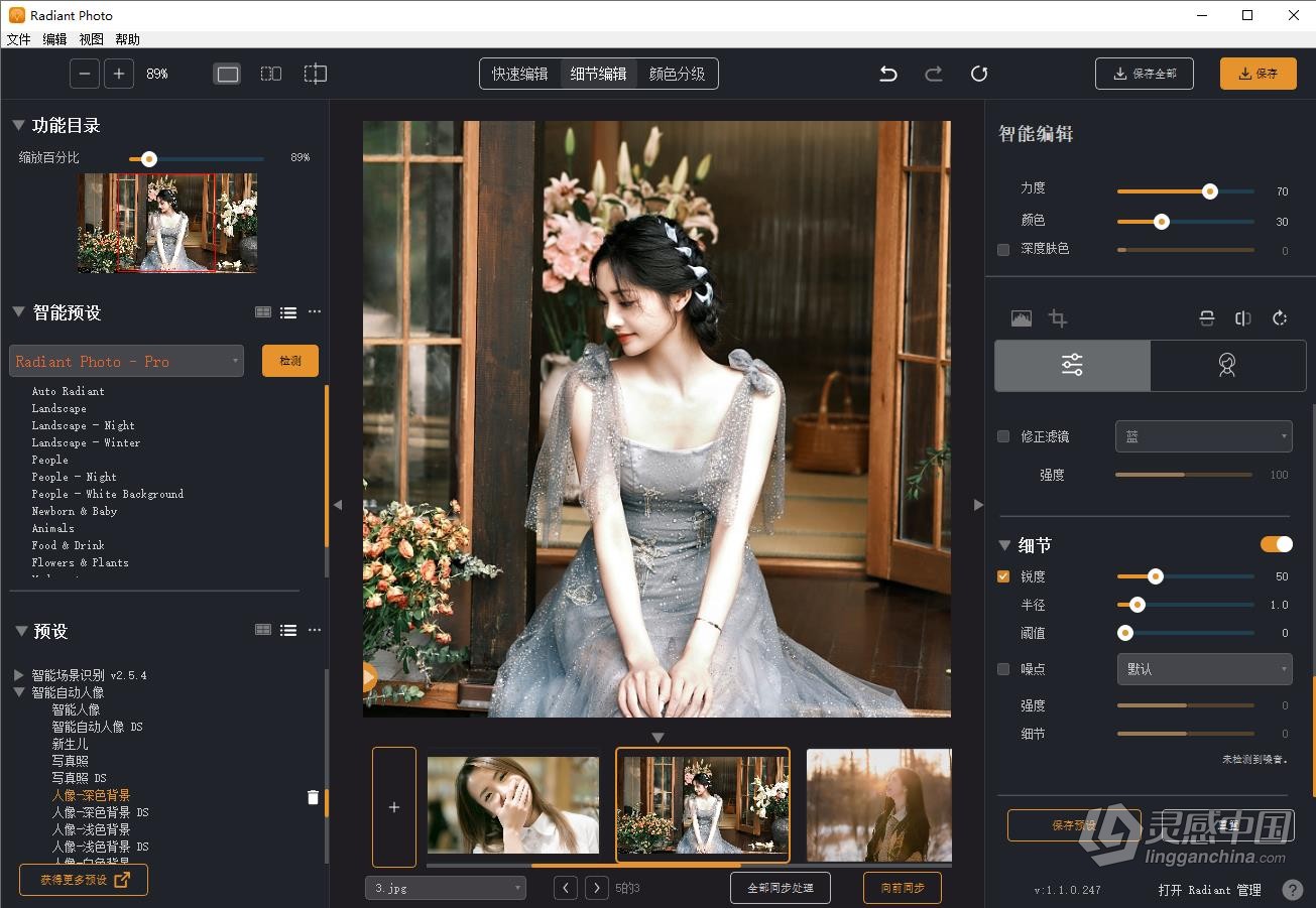 AI智能完美照片编辑人像修饰调色修图软件PS/LR插件 Radiant Photo 1.1.2.295 中文版 Win系统下载  灵感中国社区 www.lingganchina.com