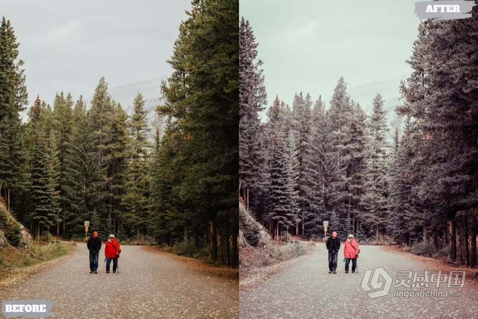 秋季户外复古胶片Lightroom调色预设 Potrait Outdoor Lightroom Presets  灵感中国网 www.lingganchina.com