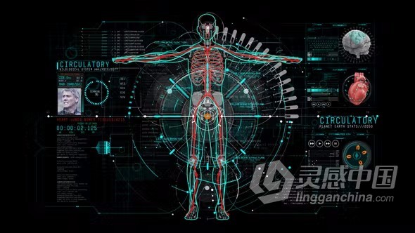 AE模板-医学医疗科技HUD信息图特效动画效果AE模板下载  灵感中国网 www.lingganchina.com