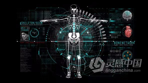AE模板-HUD Info Medical信息医疗人体科技信息图动画AE模板下载  灵感中国网 www.lingganchina.com