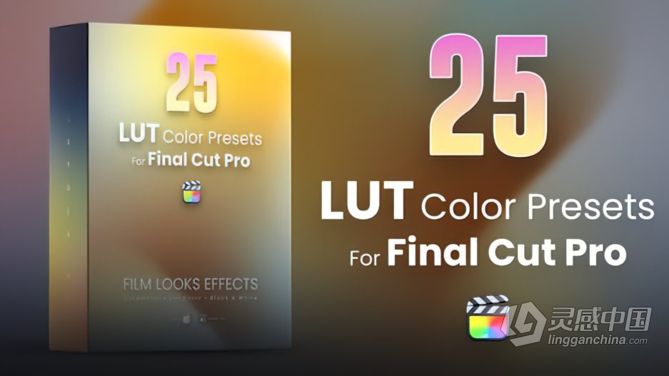 LUT预设-25个电影大片单色黑白LUTs视频调色预设 25 LUTs pack  灵感中国网 www.lingganchina.com