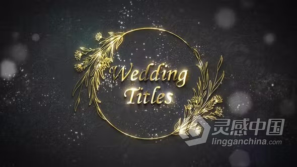 AE模板-闪亮金色光泽花艺设计花卉婚礼标题AE模板下载  灵感中国网 www.lingganchina.com
