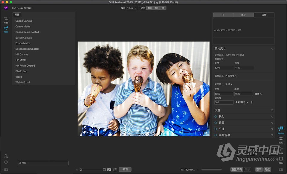 Ai智能图片无损放大打印软件 ON1 Resize AI 2023.5 v17.5.1.14028 中文版 Mac版本下载  灵感中国社区 www.lingganchina.com