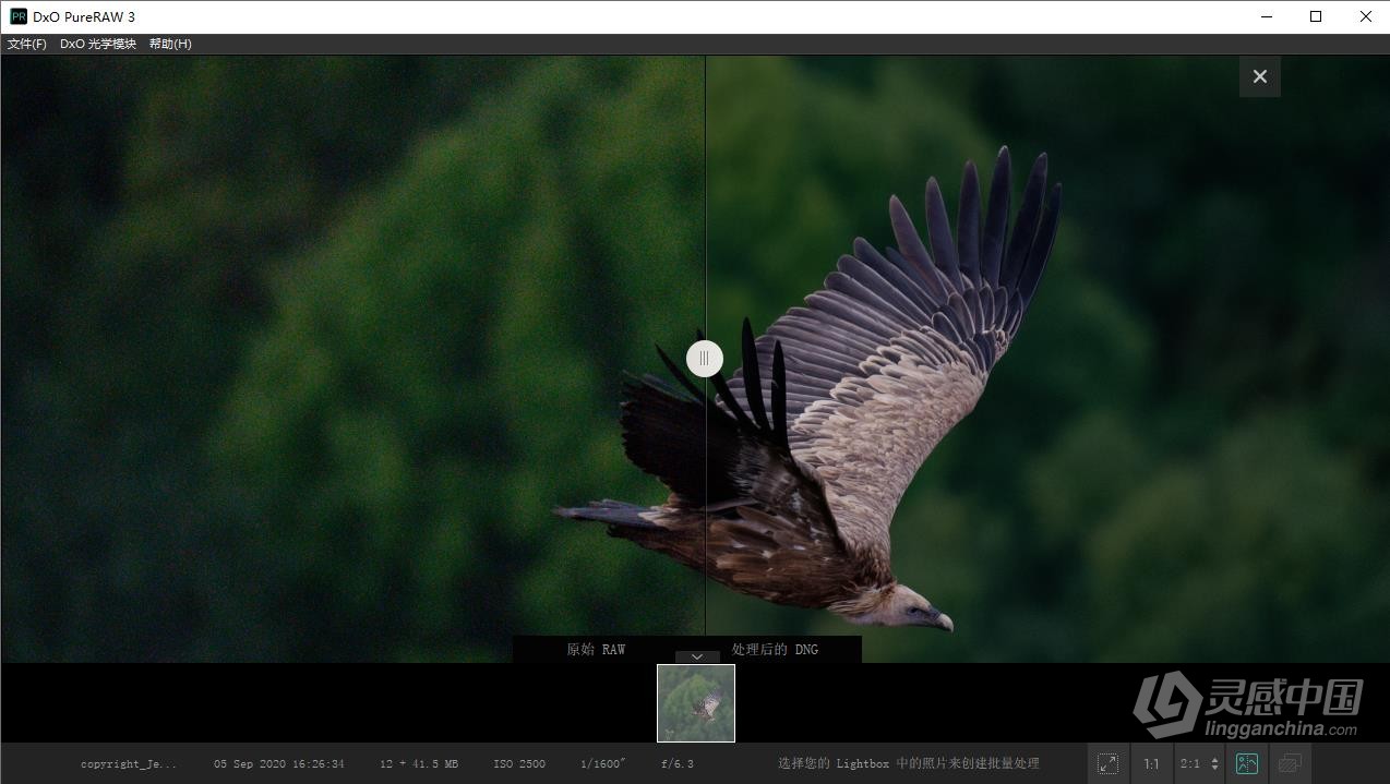 DxO PureRAW 3.5.0 Build 19 RAW增强清晰降噪软件 WIN中文版  灵感中国社区 www.lingganchina.com
