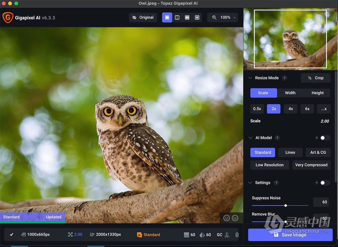 人工智能照片无损放大软件PS插件 Topaz Gigapixel AI 6.3.3 +全部模型 Mac系统下载  灵感中国网 www.lingganchina.com