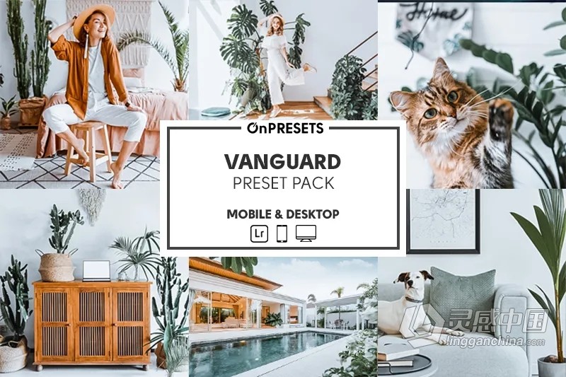 INS室内清新通透人像调色Lightroom预设 OnPresets- VANGUARD  灵感中国网 www.lingganchina.com