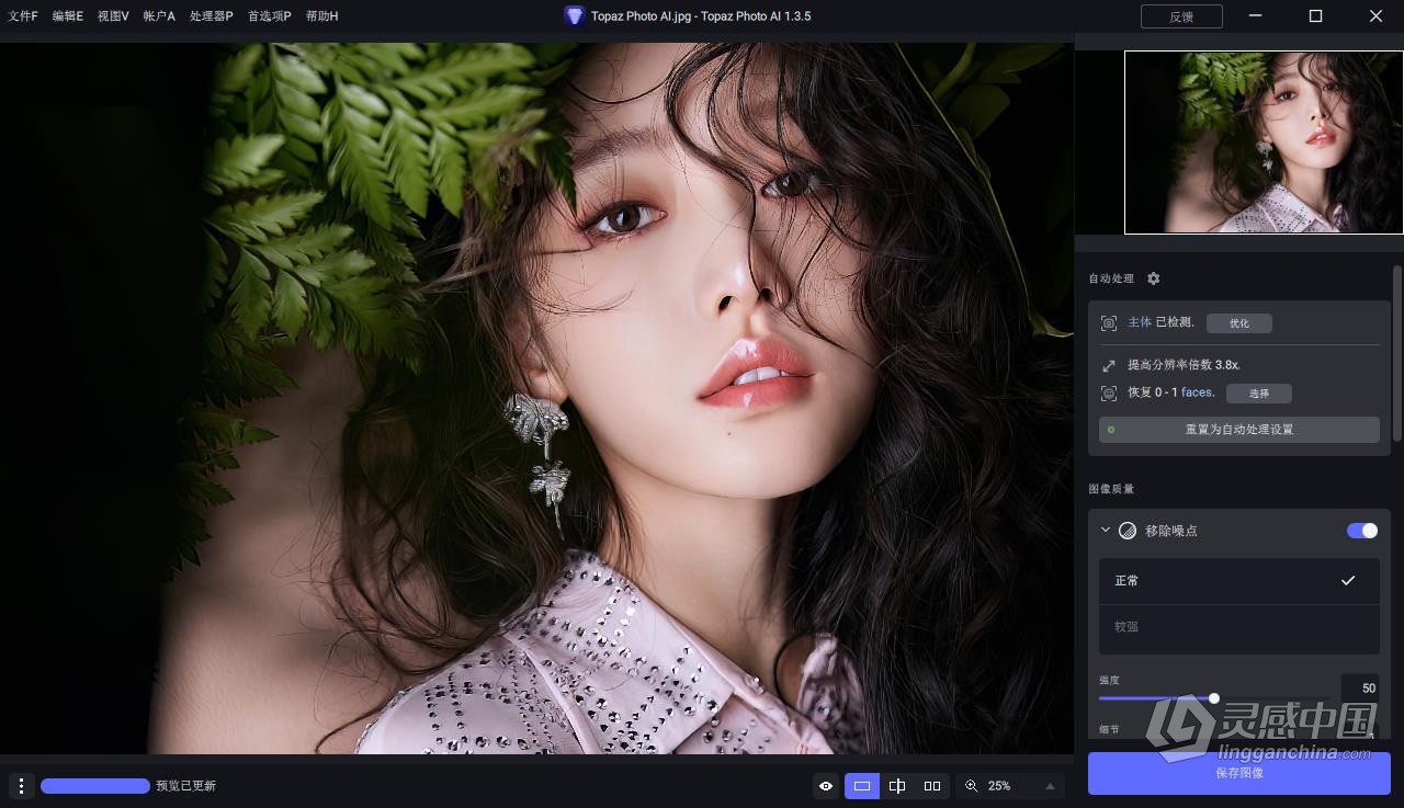 Topaz Photo AI v1.3.5 汉化版+AI模型 AI智能图像自动降噪锐化增强无损放大软件 WIN汉化中文版  灵感中国社区 www.lingganchina.com