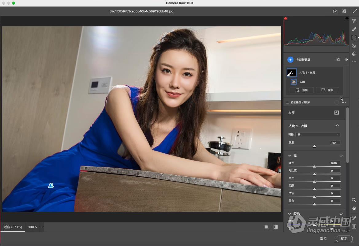 RAW处理工具Camera Raw滤镜PS插件 Adobe Camera Raw 15.4.0.1508 支持Win/Mac  灵感中国网 www.lingganchina.com