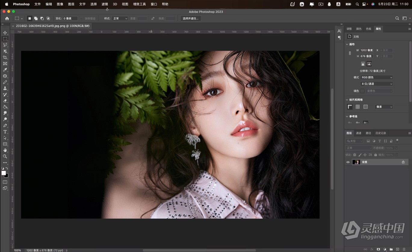 Adobe Photoshop 2023 24.0.0.59（23年6月版）PS 2023 Mac版本下载 支持M1/M2  灵感中国社区 www.lingganchina.com