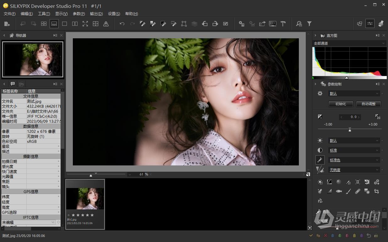 RAW照片编辑软件 SILKYPIX Developer Studio Pro 11.0.11.0 中文汉化版 Win/Mac下载  灵感中国社区 www.lingganchina.com