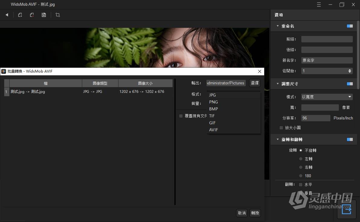 Avif图片转JPG/PNG/BMP/TIF等常用格式转换查看编辑软件 WidsMob AVIF v1.6.0.138 WIN中文版  灵感中国网 www.lingganchina.com
