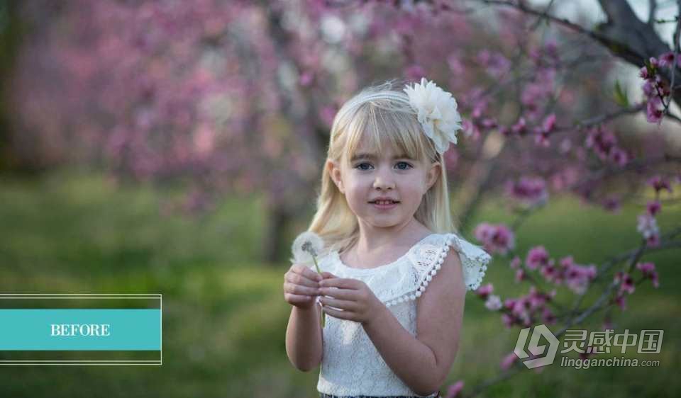 大师级 Pretty Presets 魔法花园人像lr预设Enchanted Garden Presets  灵感中国网 www.lingganchina.com