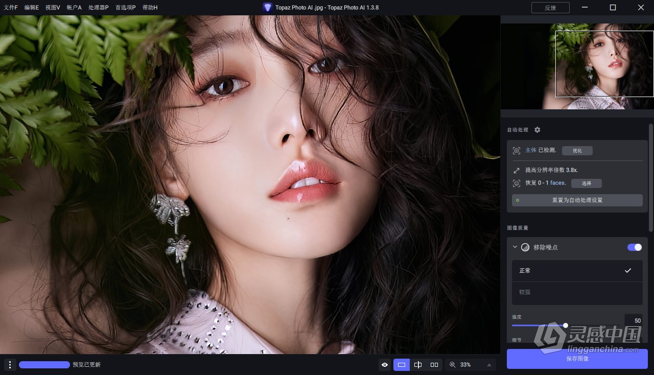 Topaz Photo AI v1.3.8 汉化版+AI模型 AI智能图像自动降噪锐化增强无损放大软件 WIN汉化中文版  灵感中国网 www.lingganchina.com