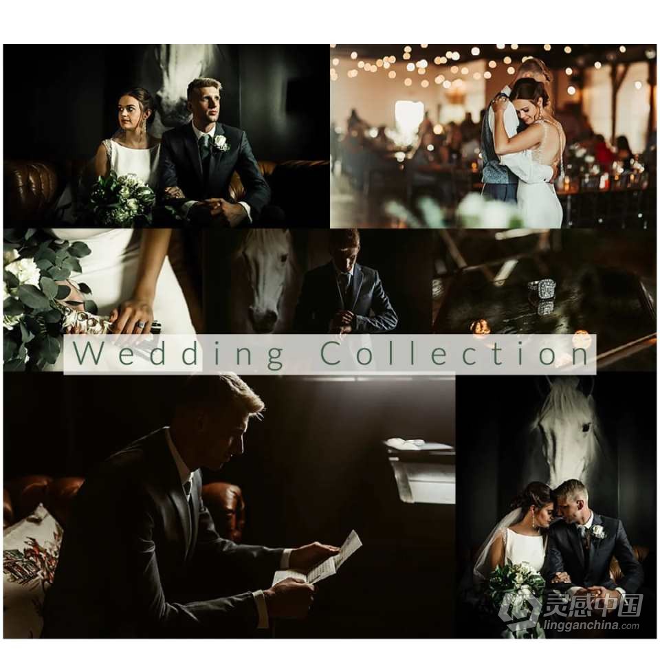 高端婚礼跟拍LR预设合集 Lemon and Lace - Wedding Collection Presets  灵感中国社区 www.lingganchina.com