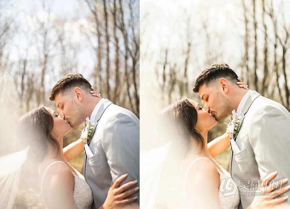 高端婚礼跟拍LR预设合集 Lemon and Lace - Wedding Collection Presets  灵感中国网 www.lingganchina.com