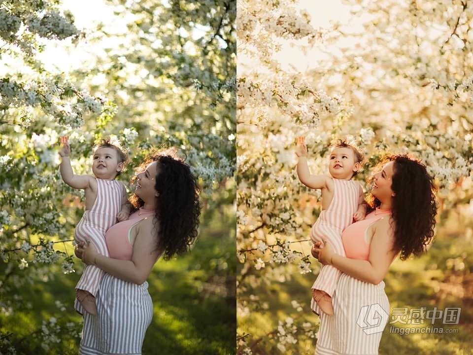 高端婚礼跟拍LR预设合集 Lemon and Lace - Wedding Collection Presets  灵感中国网 www.lingganchina.com