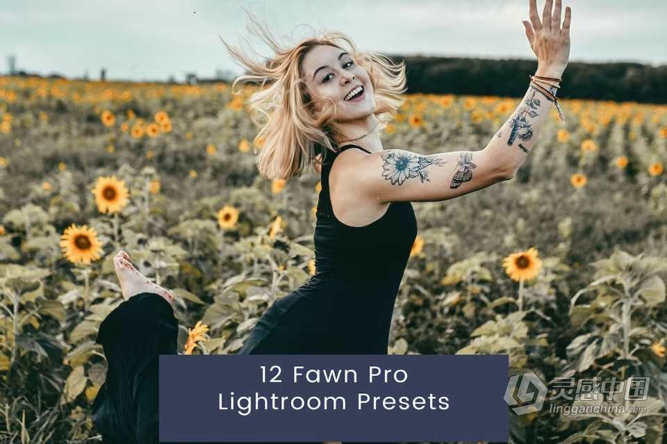 12个外拍明亮胶片人像调色Lightroom预设 12 Fawn Pro Lightroom Presets  灵感中国网 www.lingganchina.com