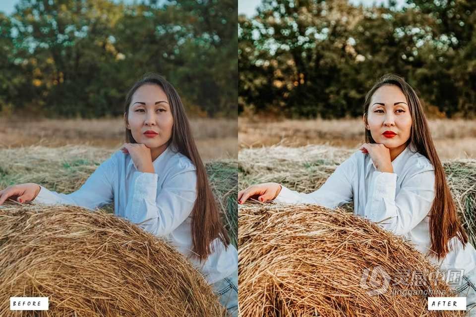 12个外拍明亮胶片人像调色Lightroom预设 12 Fawn Pro Lightroom Presets  灵感中国网 www.lingganchina.com