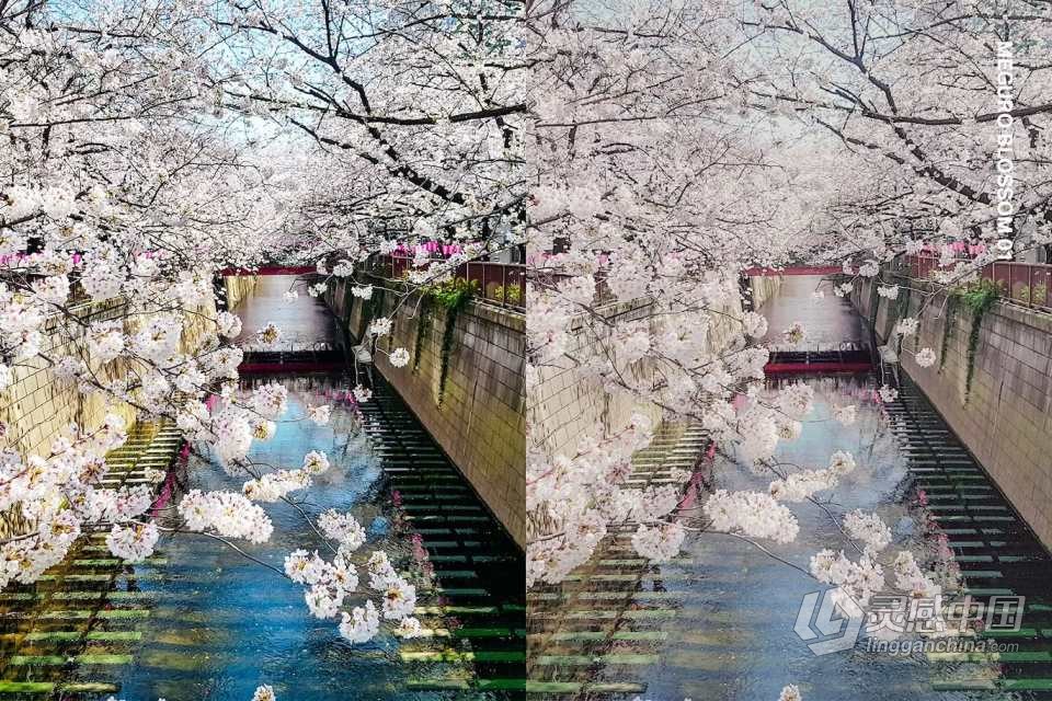 日本东京旅行摄影日系胶片调色Lightroom预设+视频调色LUT预设  灵感中国网 www.lingganchina.com