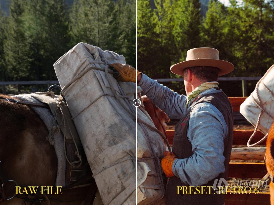 摄影师 Forrest Mankins 38个经典胶卷LR预设 FM Film Lightroom Presets  灵感中国网 www.lingganchina.com